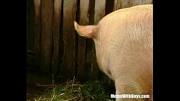 Brunette Lady Farmer Hairy Pussy Barn Fucked